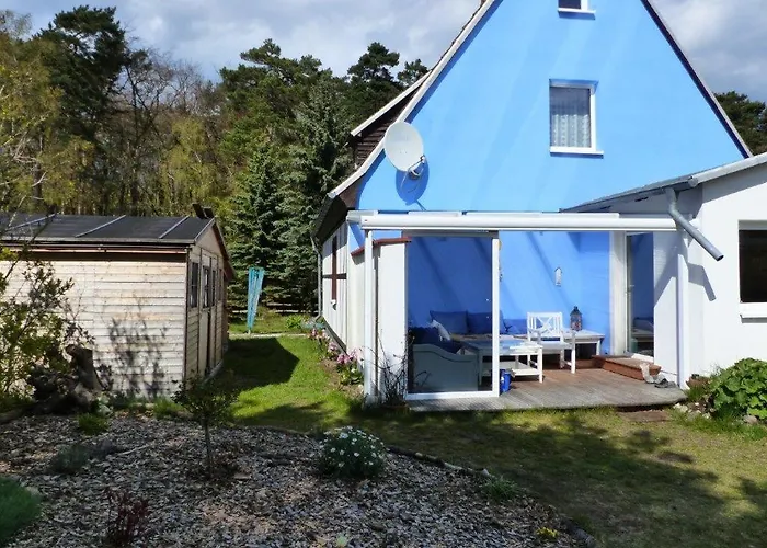 Sandburg * زيمبين